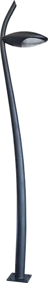 Bean1001